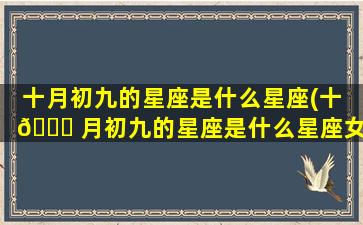 十月初九的星座是什么星座(十 🍁 月初九的星座是什么星座女)